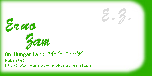 erno zam business card